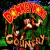 Donkey Kong Country